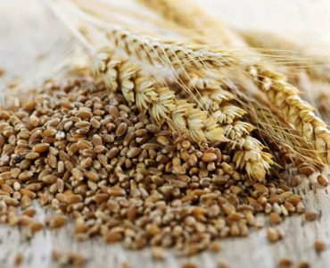 grano